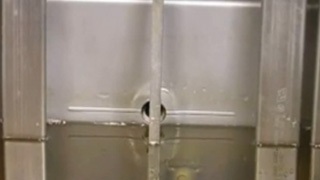 Something about this video that will make you want to watch it. 